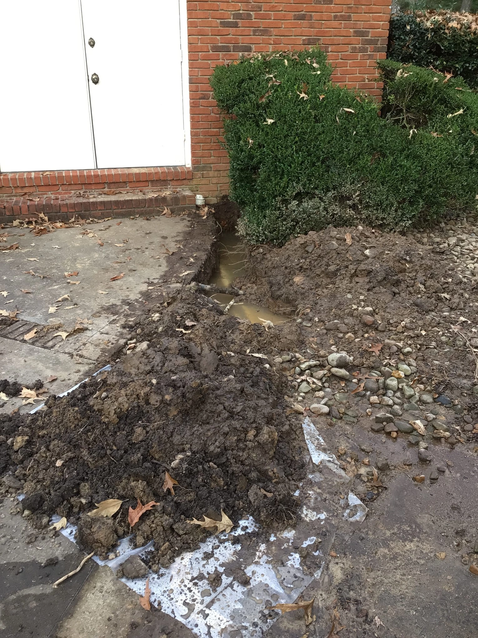 Our team recently went out and performed a slab leak repair in Cordova, TN by repiping and replacing some of the plumbing. Read more here.